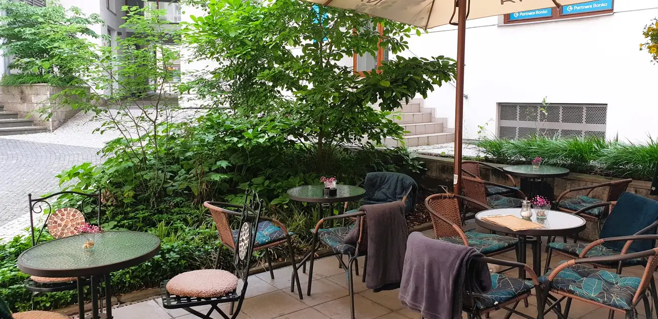Courtyard terrace, wide shot: round tables with teal cushioned chairs and blankets, dense green plants, cream parasol, building wall behind. Bright daylight.