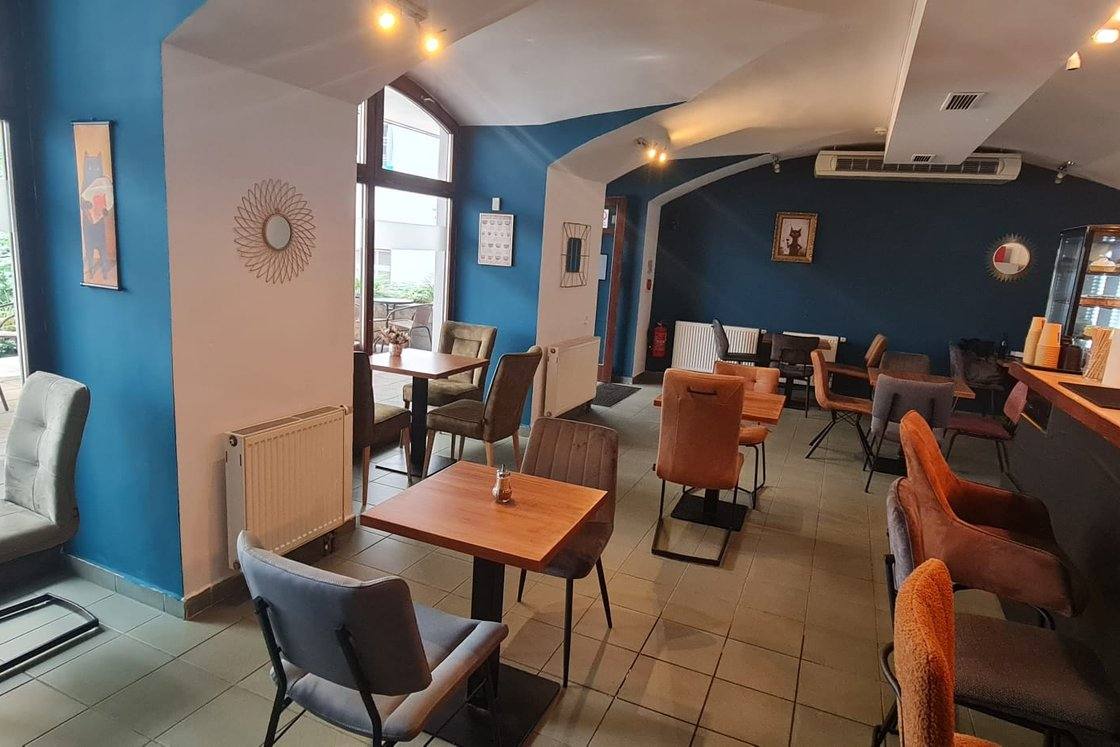 Interior, 2024: wide view from the window side toward the bar, deep blue wall, tables and chairs, courtyard visible through the window on the left.